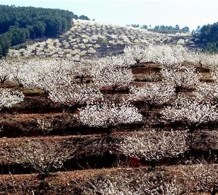 Hébergement de vacances Don Romualdo