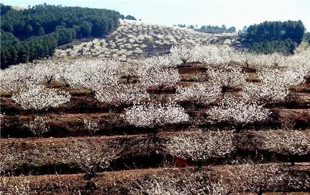 Ferienhaus Don Romualdo